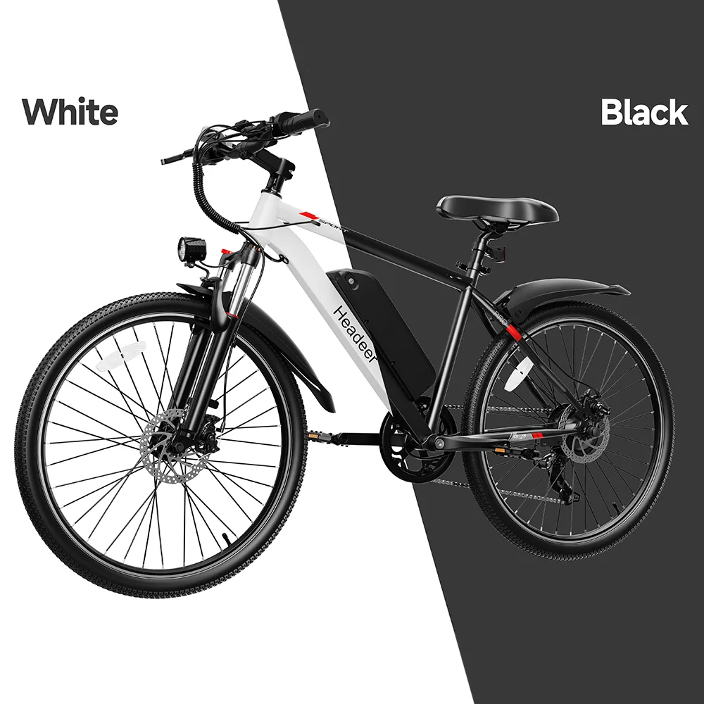 BK1350 Electric Bike