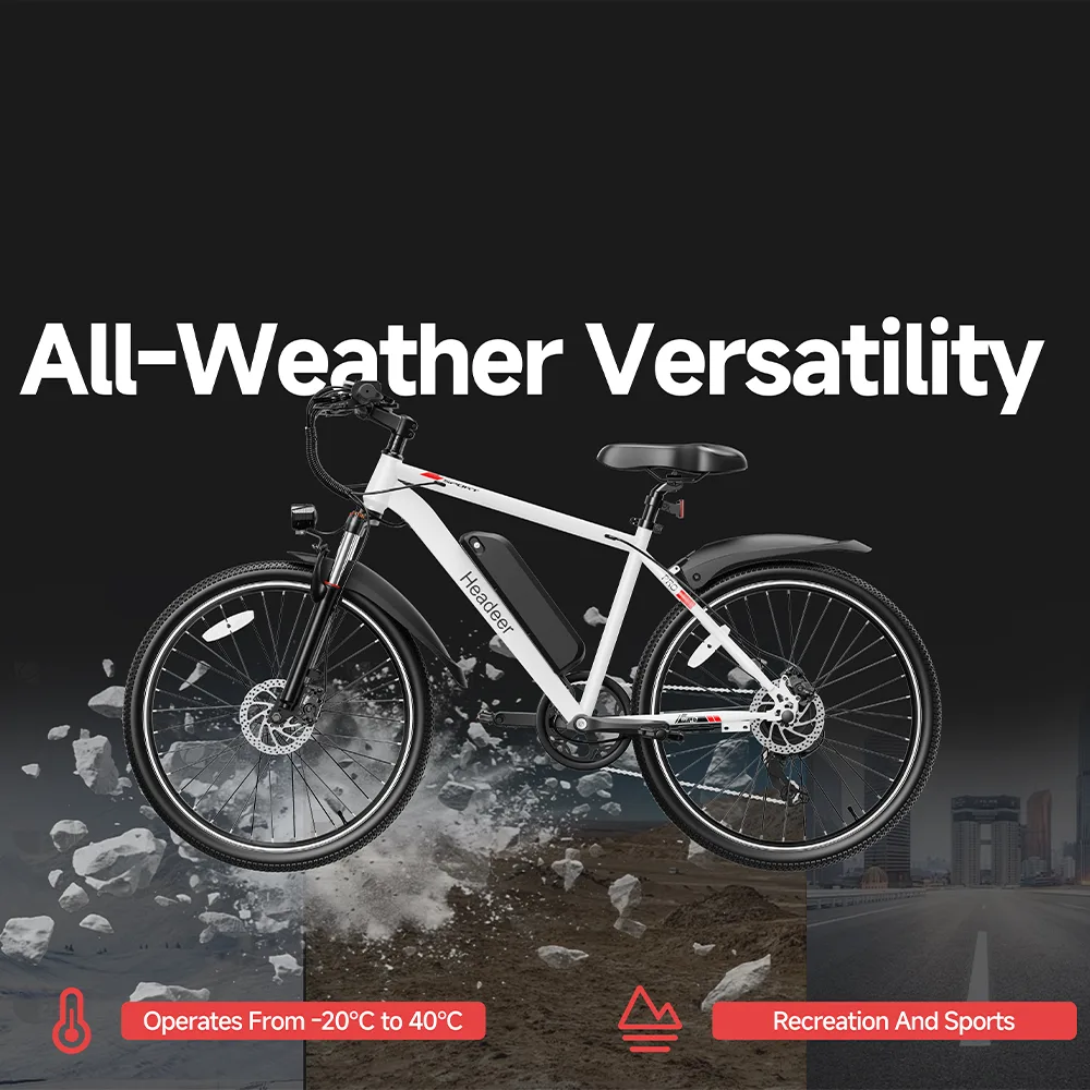BK1350 Electric Bike