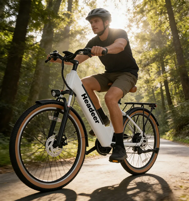 BD26195 Electric Mountain Bike
