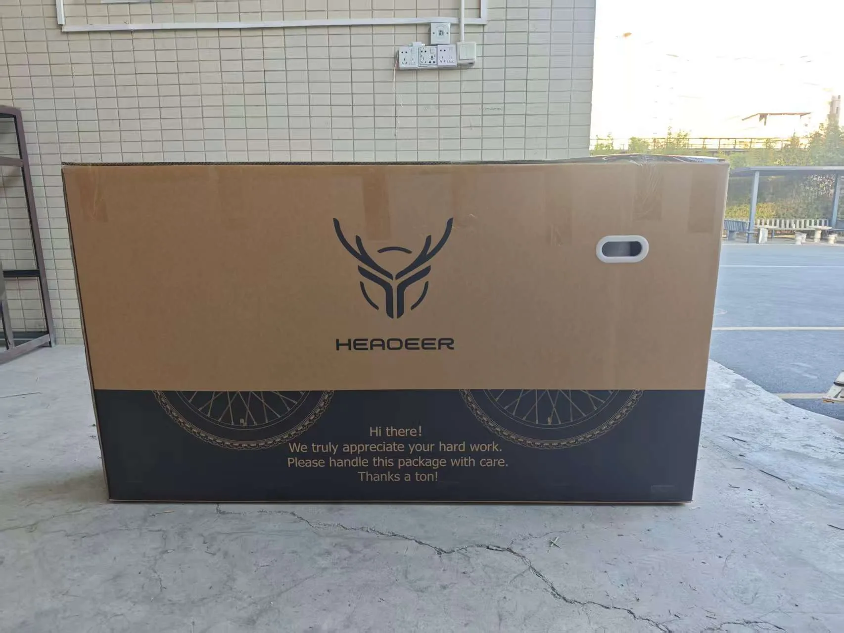 BD26195 Electric Mountain Bike
