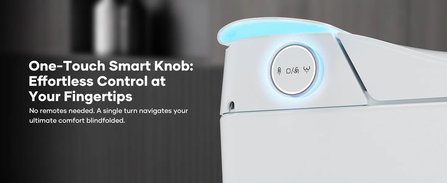 Smart toilet product detail
