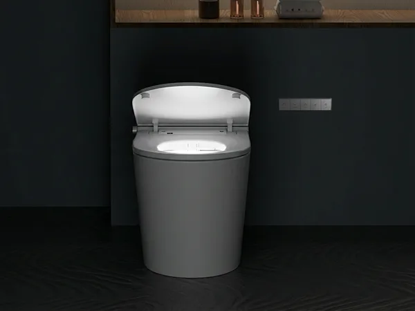 Smart toilet product detail