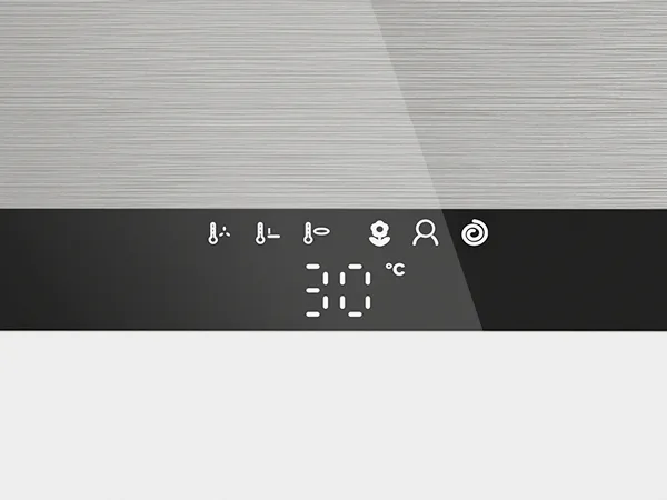 Smart toilet product detail
