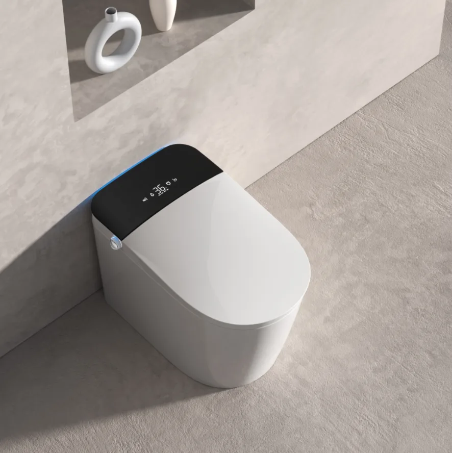 W5935 Smart Toilet front view