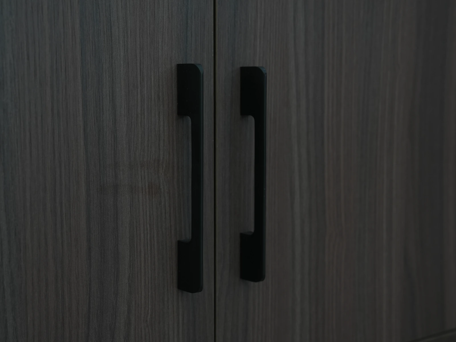 Dark Walnut Modern Double Door TV Stand F6002 product detail